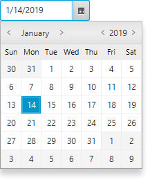 Image of the DatePicker control